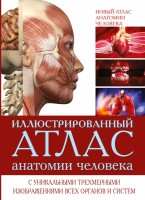 Книга Иллюстрированный атлас анатомии человека