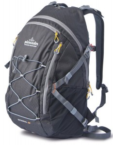 Рюкзак Pinguin 30 Integral black