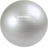 Гимнастический мяч 'Tunturi Aerobic Gym Ball by Reebok' (55 см)