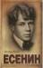 Книга Есенин