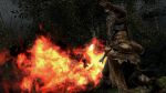 скриншот Dark Souls 2 Black Armor Edition PS3 #5