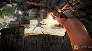 скриншот Far Cry 3 Insane Edition PS3 #5