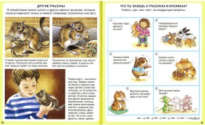 фото страниц Домашние питомцы #3