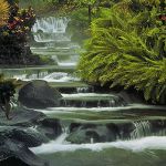 фото страниц Чудеса природы #4