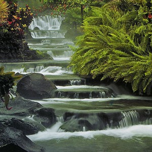 фото страниц Чудеса природы #4