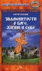 Книга Знаменитости о Боге, жизни и себе
