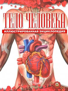 Книга Тело человека
