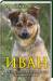 Книга Иван. Жизнь, любовь и поводок глазами собаки