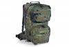 Рюкзак Tasmanian Tiger Patrol Pack Vent FT flecktarn 2