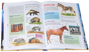 фото страниц Что? Отчего? Зачем? #2