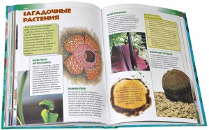 Книга Большая энциклопедия для умных мальчиков и любознательных девочек