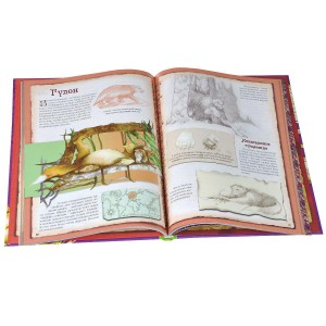 фото страниц Большая энциклопедия мифических существ #2