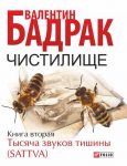 Книга Чистилище. Тысяча звуков тишины (SATTVA) (книга 2)