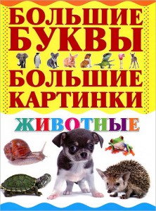 Книга Животные. Большие буквы. Большие картинки