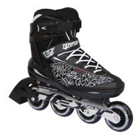 Ролики Tempish Next черные (40)