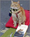 фото страниц Уличный кот по имени Боб. Как человек и кот обрели надежду на улицах #5