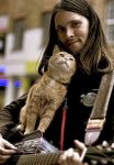 фото страниц Уличный кот по имени Боб. Как человек и кот обрели надежду на улицах #6
