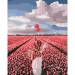 Картина по номерам Идейка 'Розовая мечта' 40х50 см (KHO4603)