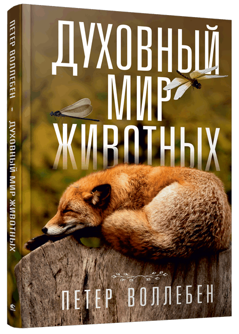 

Духовный мир животных