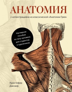 Книга Анатомия