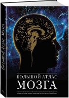 Книга Большой атлас мозга