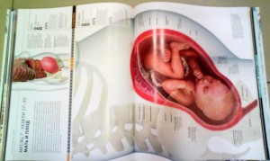 фото страниц Книга о беременности #3