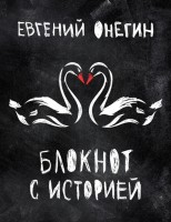 Книга Евгений Онегин. Блокнот с историей