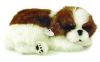 Интерактивная игрушка Perfect Petzzz Ши-Тцу