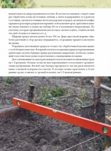 фото страниц Экономим место на грядке. Повышаем урожай #2