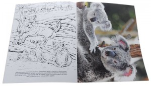 фото страниц Пушистые малыши #2