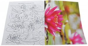 фото страниц Цветы и бабочки #2