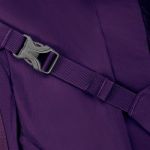 фото Рюкзак Osprey 'Palea 26 Black Orchid O/S' (009.1620) #3