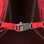 фото Рюкзак Osprey 'Pandion 28 Armor Grey' (009.1609) #5