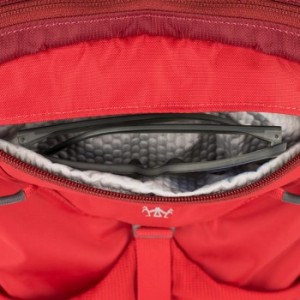 фото Рюкзак Osprey 'Pandion 28 Navy Bluе' (009.1613) #7