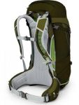фото Рюкзак Osprey 'Stratos 36 Gator Green M/L' (009.1467) #2