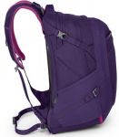 фото Рюкзак Osprey 'Talia 30 Mariposa Purple' (009.1614) #3