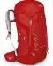Рюкзак Osprey 'Talon 44 Martian Red M/L' (009.1404)