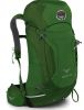 Рюкзак Osprey 'Kestrel 28 Jungle Green M/L' (009.1267)