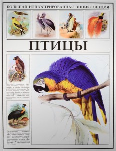 Книга Птицы. Большая иллюстрированная энциклопедия