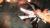 скриншот Crysis 3 XBOX 360 #13