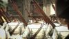 скриншот Assassin's Creed 4 Black Flag Skull Edition PS4 - Assassin's Creed 4 Черный флаг - Русская версия #10